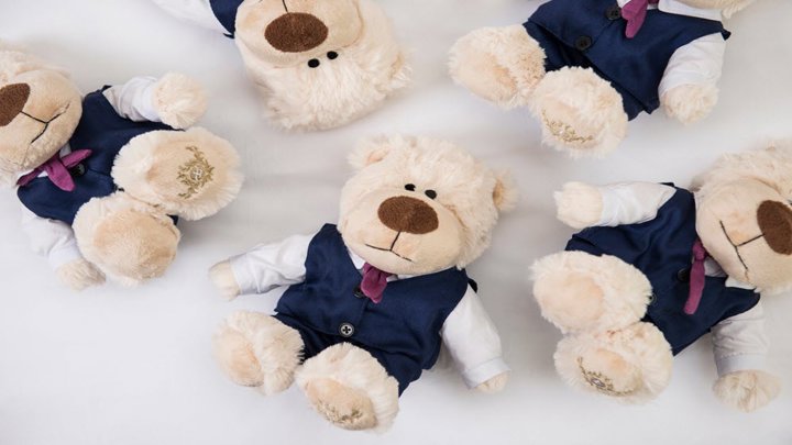 Tlhkg Teddy